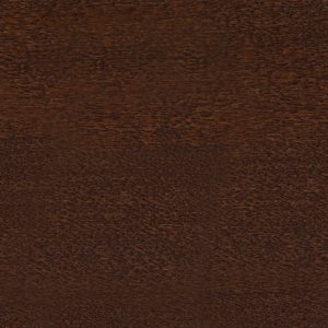 Sherwood Paperbark Maple
