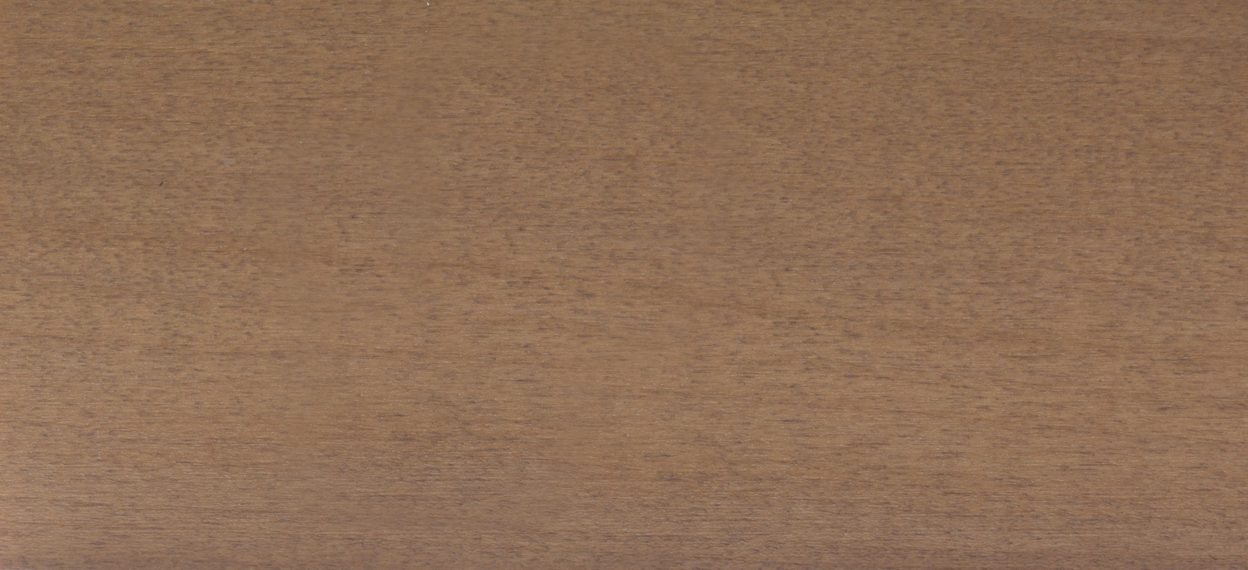 papyrus 50mm