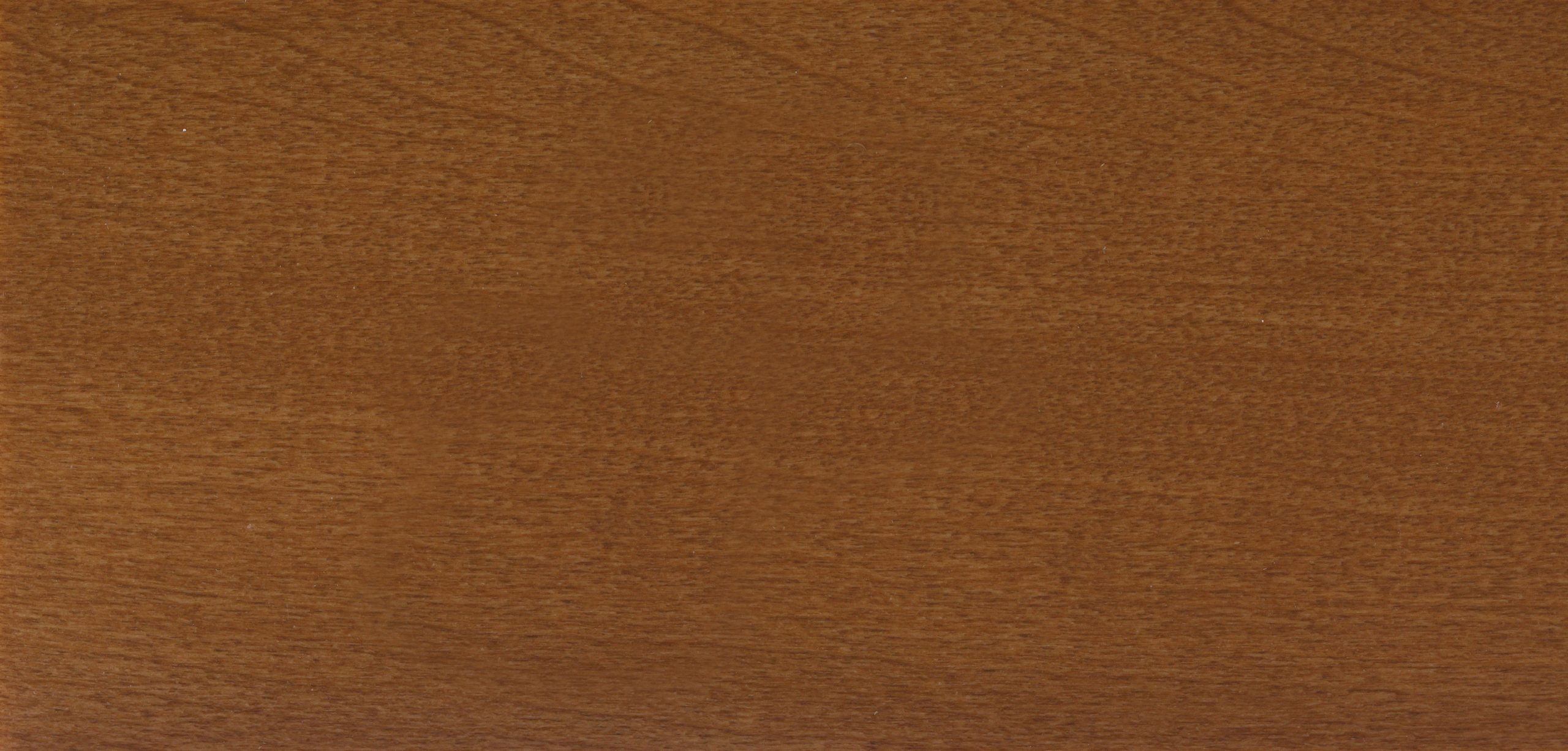 Sherwood Valley Oak