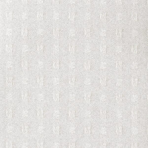 Venus Snow